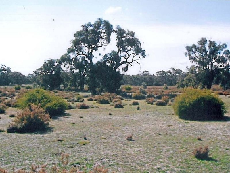 1 Pahl’s Road – CFA 166, Edenhope VIC 3318