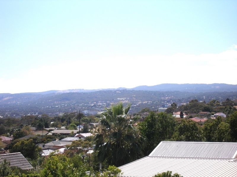 8a Hill Street, Seacliff Park SA 5049