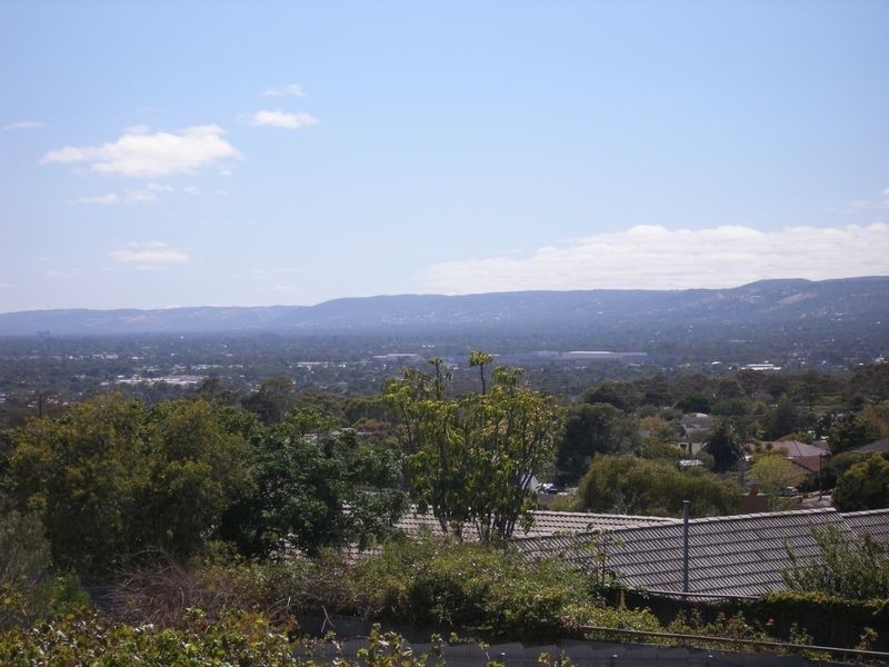 8a Hill Street, Seacliff Park SA 5049