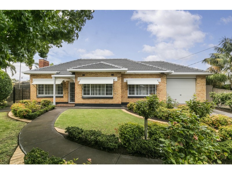 16 Elm Terrace, Glenelg North SA 5045