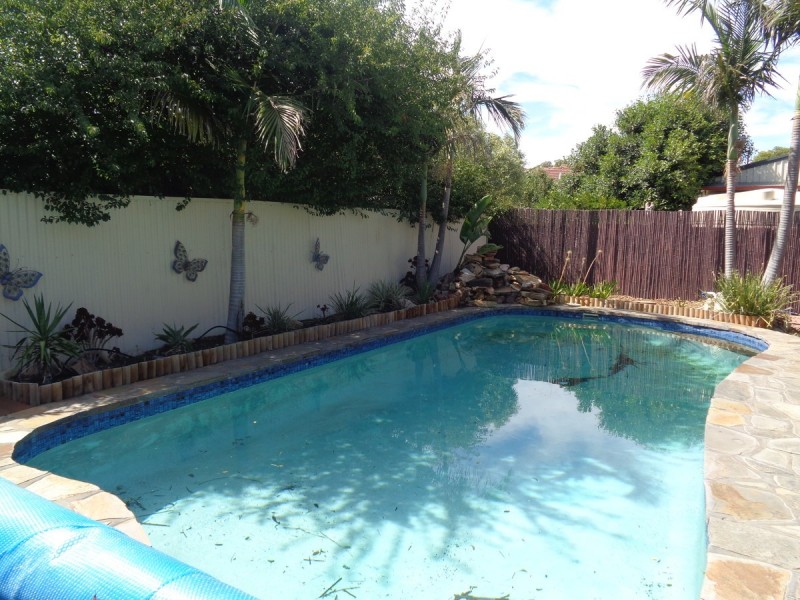 13 Orkney Avenue, Marion SA 5043