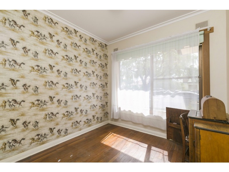 62 Thomas Street, South Plympton SA 5038