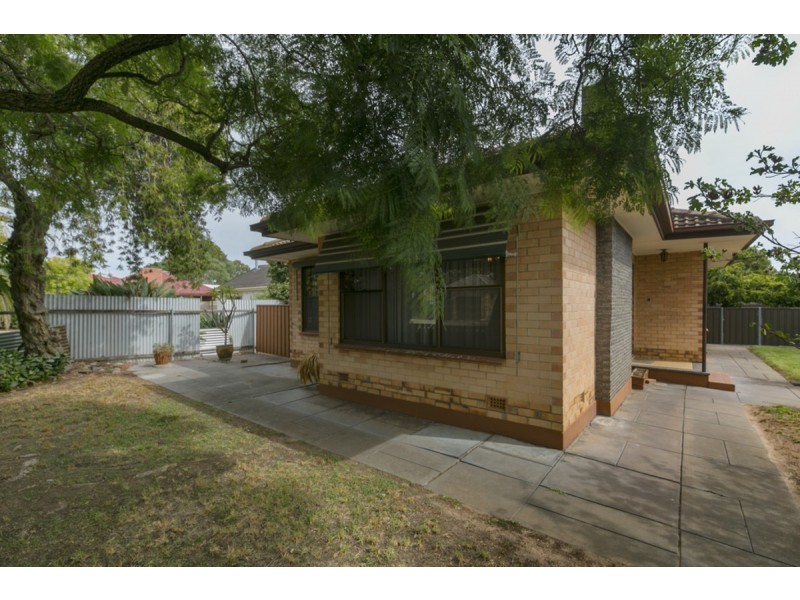 62 Thomas Street, South Plympton SA 5038