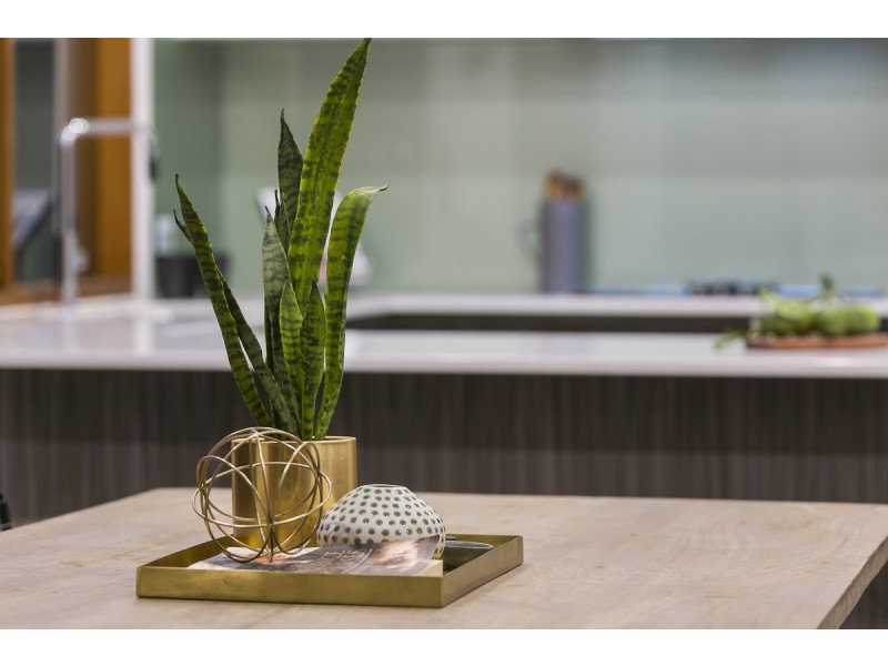 1 Dorset Street, Warradale SA 5046