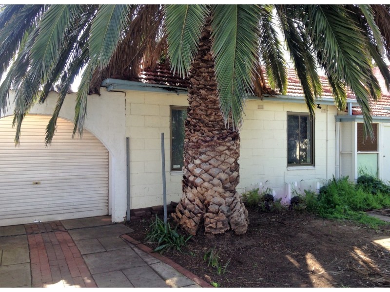 24 Lascelles Avenue, Hove SA 5048