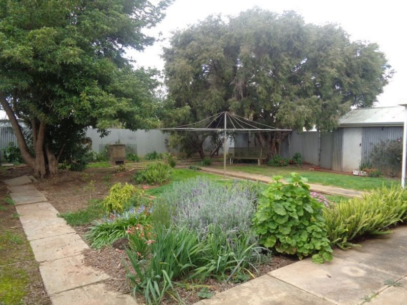 115 Winston Avenue, Daw Park SA 5041