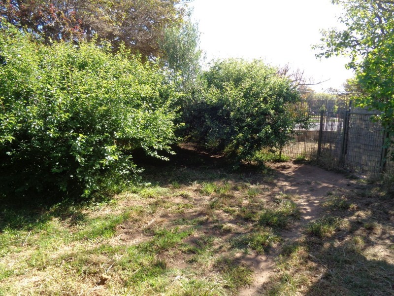 53 Rossall Road, Somerton Park SA 5044