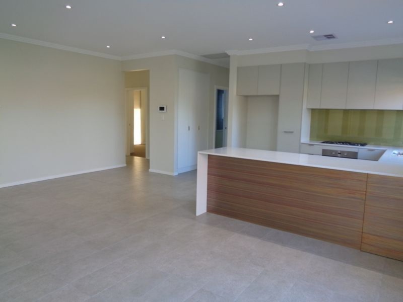 20 Sienna Avenue, Warradale SA 5046