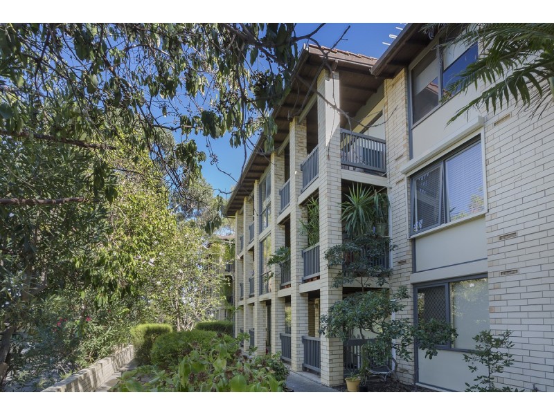 6/6 Munro Street, Glenelg North SA 5045