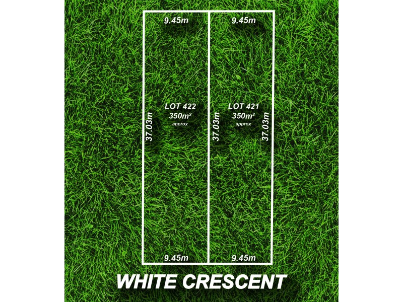 42 White Crescent, Seacombe Gardens SA 5047