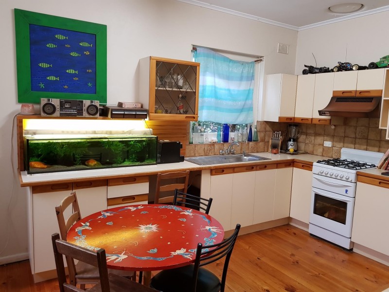 11 Orkney Avenue, Marion SA 5043