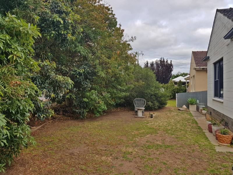 11 Orkney Avenue, Marion SA 5043