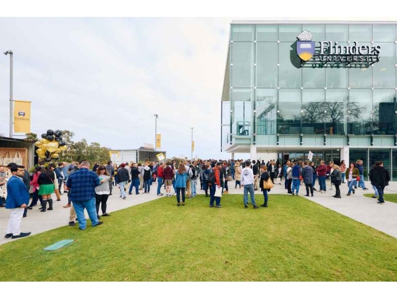 11 Orkney Avenue, Marion SA 5043