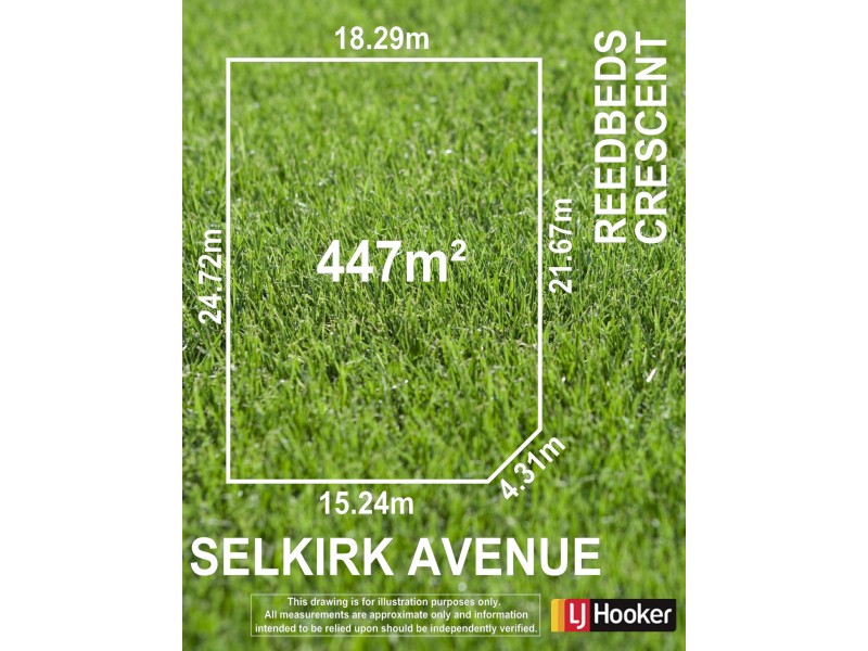 20 Selkirk Avenue, Seaton SA 5023