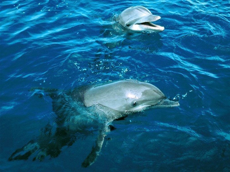 7 Barula Road, Marino SA 5049