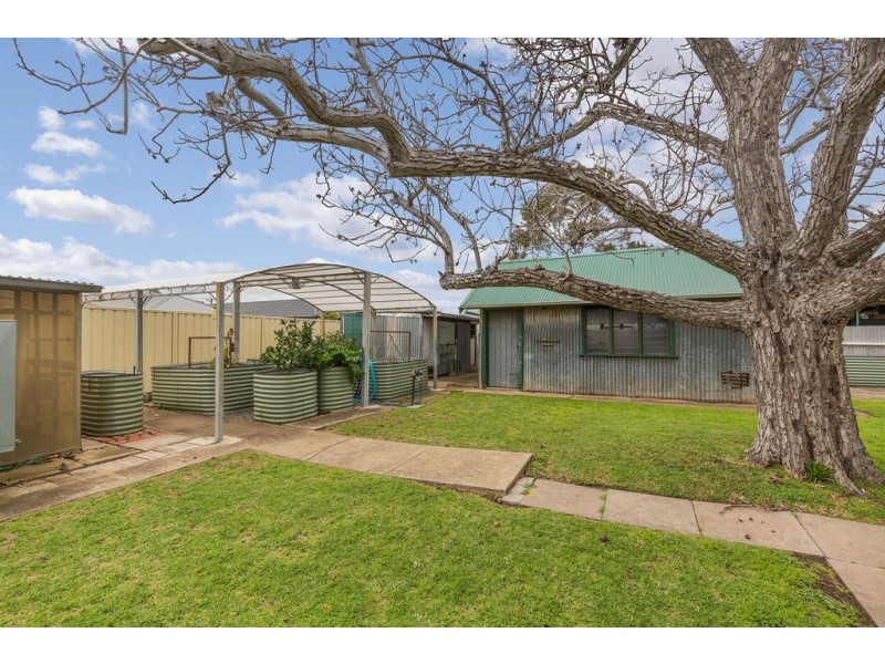 45 English Avenue, Clovelly Park SA 5042
