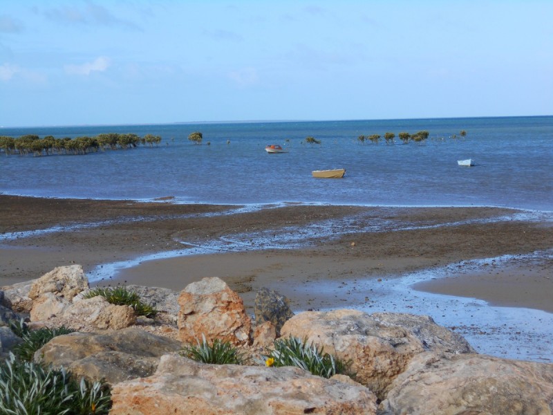 Lot 22/12-14 Wandilta Terrace, Clinton SA 5570