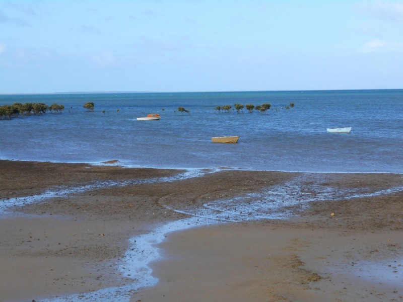 Lot 22/12-14 Wandilta Terrace, Clinton SA 5570