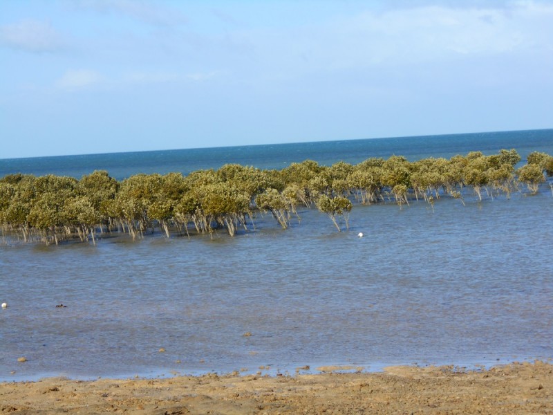 Lot 22/12-14 Wandilta Terrace, Clinton SA 5570