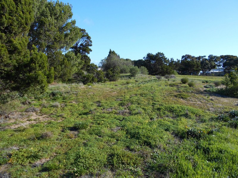 Lot 22/12-14 Wandilta Terrace, Clinton SA 5570