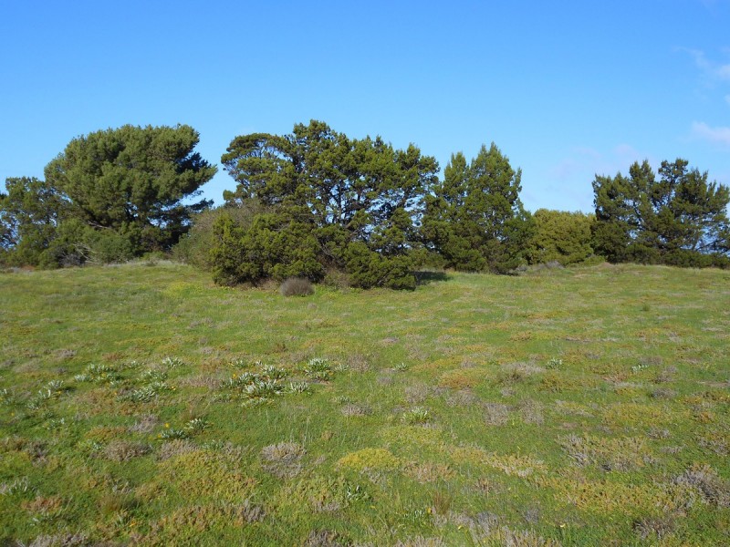 Lot 22/12-14 Wandilta Terrace, Clinton SA 5570