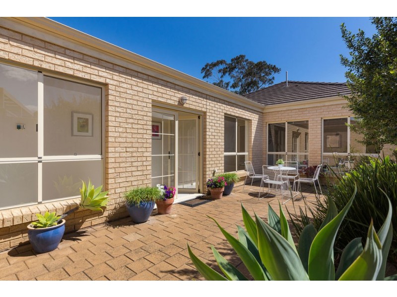 32A Trott Grove, Oaklands Park SA 5046