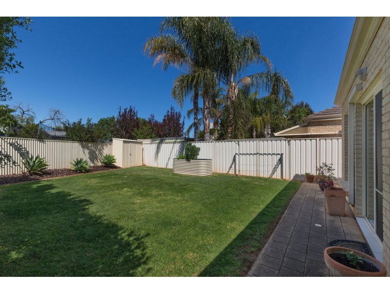 32A Trott Grove, Oaklands Park SA 5046