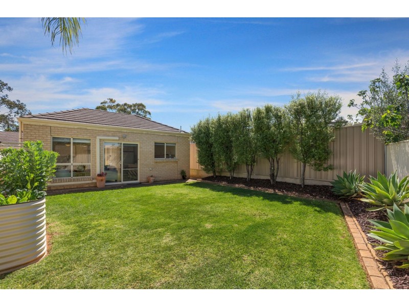32A Trott Grove, Oaklands Park SA 5046