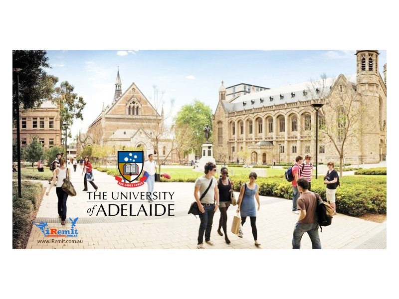 20 Kelmscott Street, Oaklands Park SA 5046