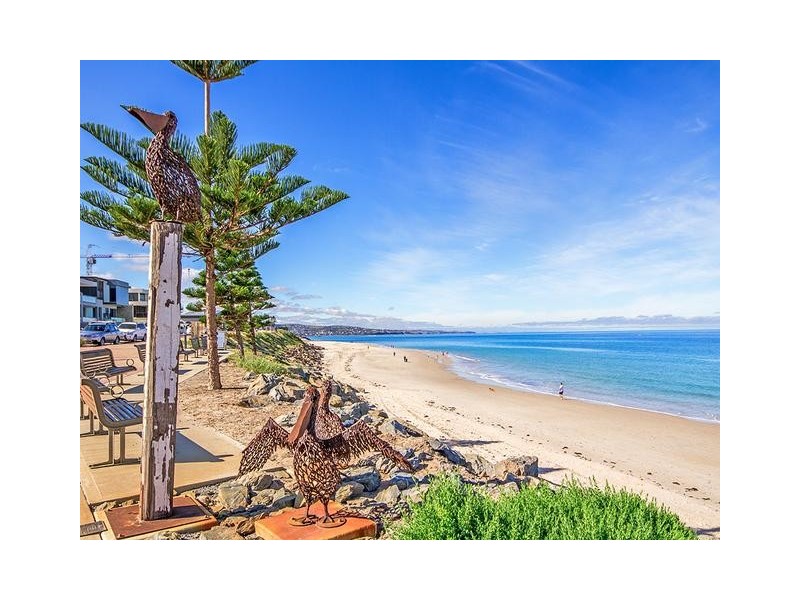 55 Wilton Avenue, Somerton Park SA 5044