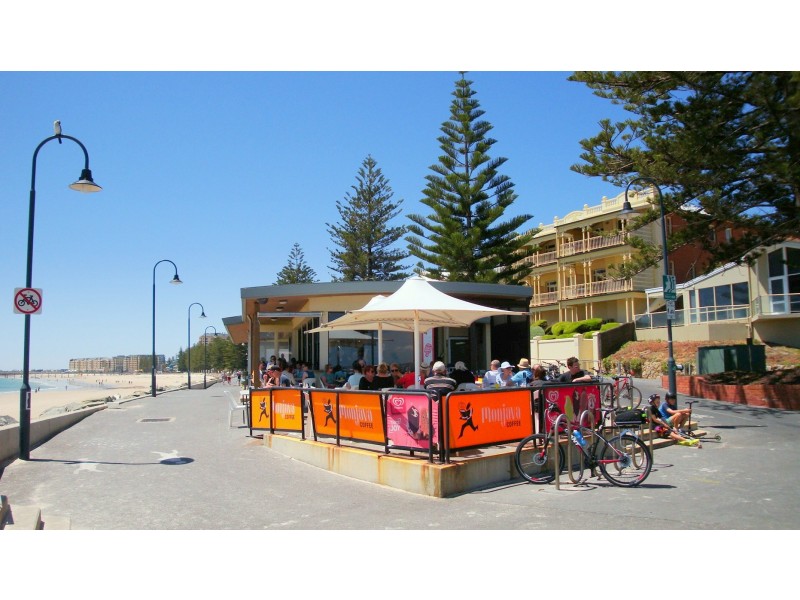 55 Wilton Avenue, Somerton Park SA 5044