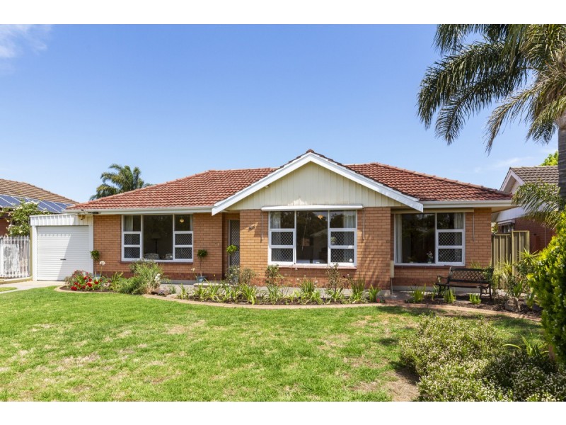 9 Clyde Street, Marion SA 5043