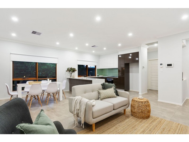 3 Dorset Street, Warradale SA 5046