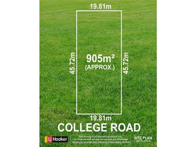 19 College Road, Somerton Park SA 5044