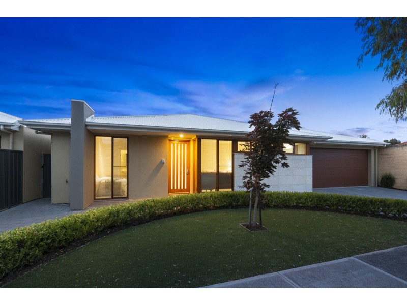 20 Sienna Avenue, Warradale SA 5046