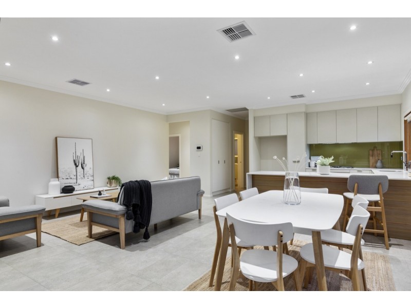 20 Sienna Avenue, Warradale SA 5046