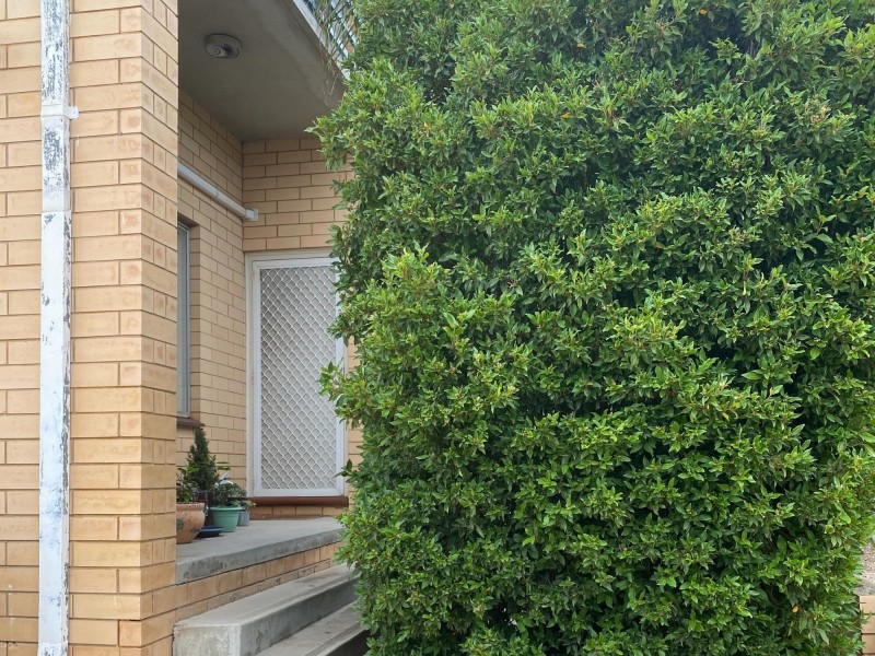 2/25 Spiers Avenue, Pasadena SA 5042