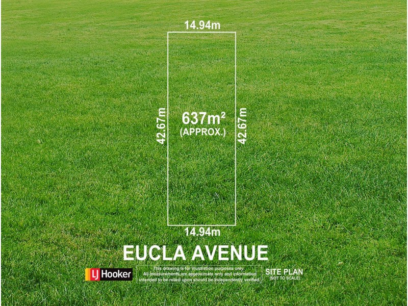 7 Eucla Avenue, Warradale SA 5046