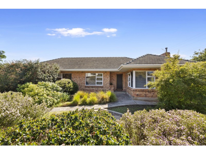 11 Oliphant Avenue, Oaklands Park SA 5046