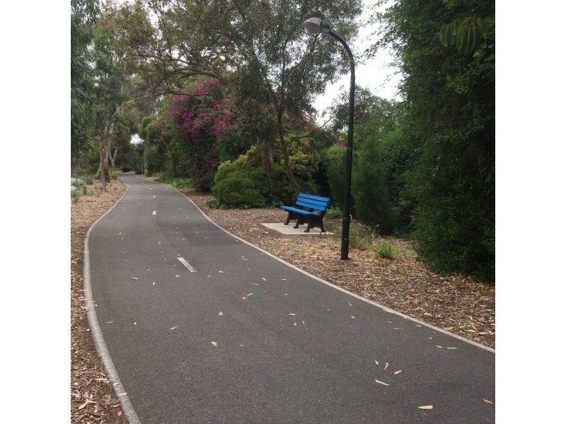 39 Bowden Grove, Marion SA 5043