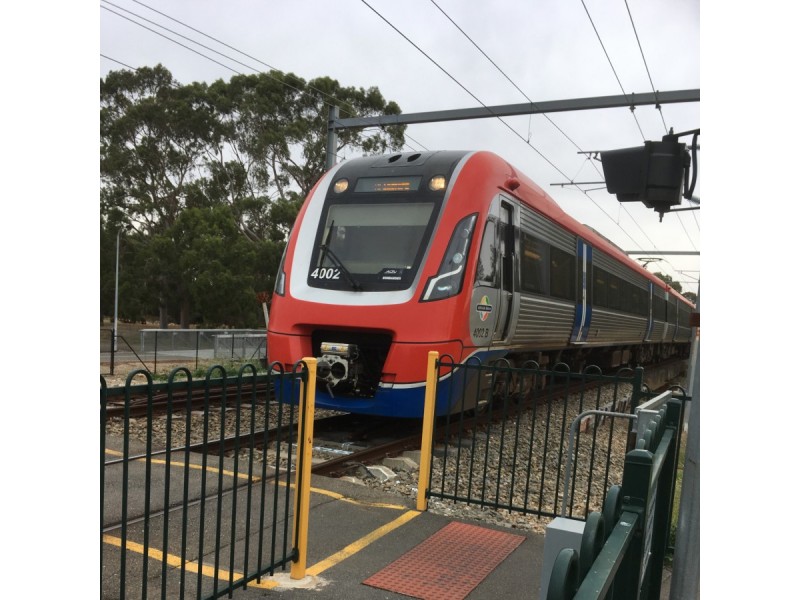 39 Bowden Grove, Marion SA 5043