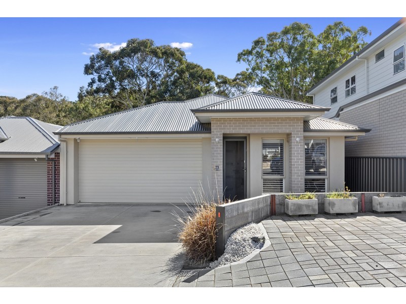 31 Jordan Court, Aberfoyle Park SA 5159