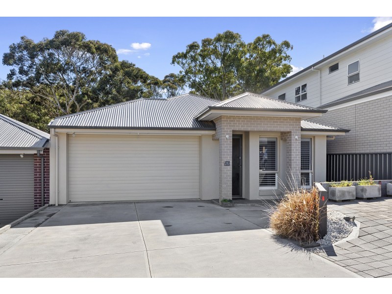 31 Jordan Court, Aberfoyle Park SA 5159