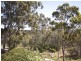 24 Melaleuca Drive, Athelstone SA 5076