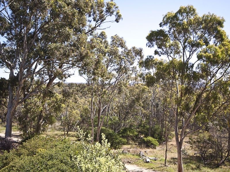 24 Melaleuca Drive, Athelstone SA 5076