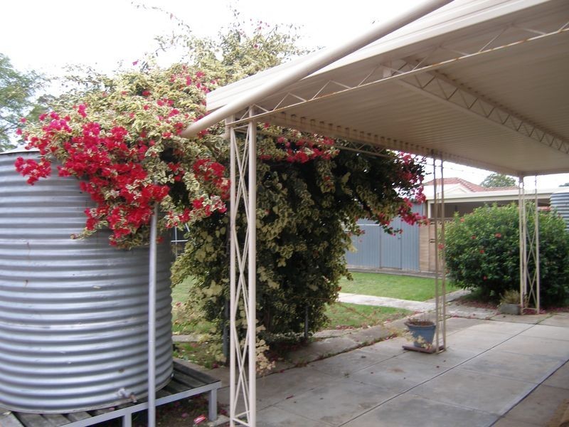 40 Gray Street, Plympton SA 5038