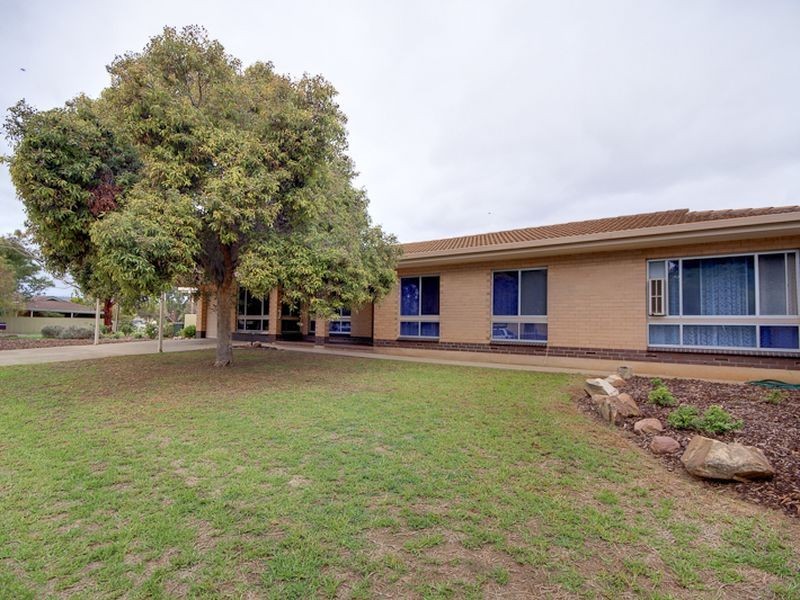 2 Carlisle Avenue, Morphettville SA 5043