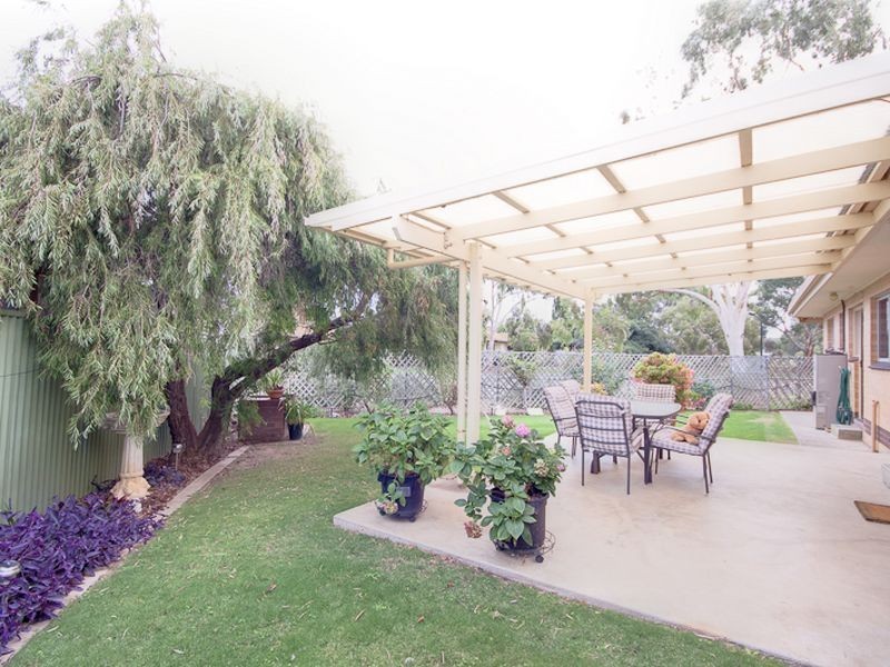 2 Carlisle Avenue, Morphettville SA 5043