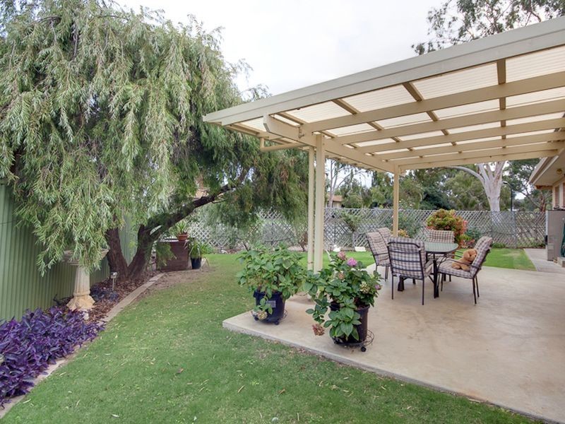 2 Carlisle Avenue, Morphettville SA 5043