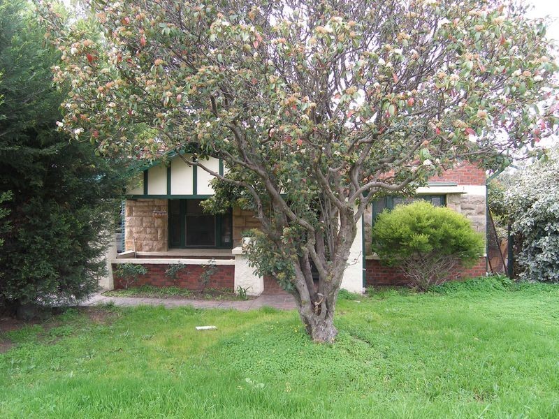 11 Clifford Avenue, Kurralta Park SA 5037